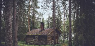 Świetnym rozwiązaniem na przyszłość jest postawienie nieruchomości