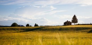 Szukanie nieruchomości – łatwe czy trudne zadanie?