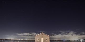 Domy wolnostojące na rynku nieruchomości