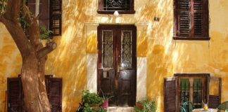 Storczyki we wnętrzu