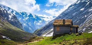 wyposażenie sklepów