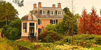 Ochronić i ozdobić.