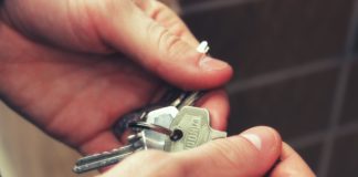 Mieszkanie przy płucach miasta