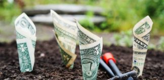 Wirtualne pieniądze.