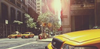 Czy każdy powinien mieć prawo jazdy?