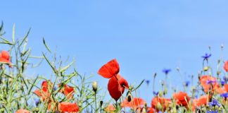 Ubrania dla mężczyzn