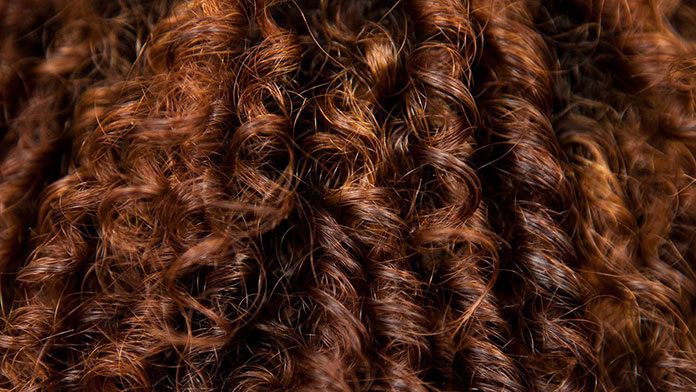 Włos i jego cykl życia