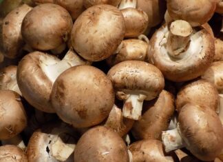 Jak zrobić sos pieczarkowy