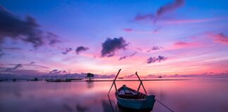 Dlaczego radio nie odbiera stacji?