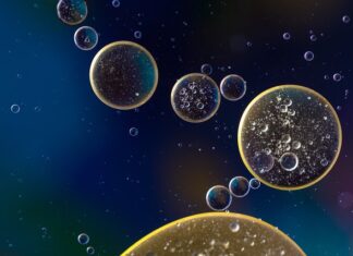 Ile kosztuje wymiana oleju wraz z filtrami?