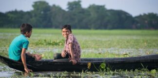 Czy osmoza to dyfuzja?