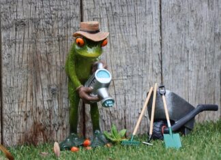 Czy muszę płacić abonament za radio w samochodzie?