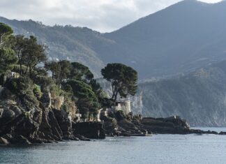 Ile kosztuje samochód seat Arona? Ile kosztuje samochód seat Arona?