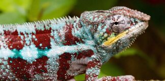 Jak poprawnie ustawić konwerter?