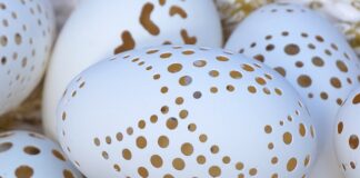 Co można zrobić z wydmuszki?