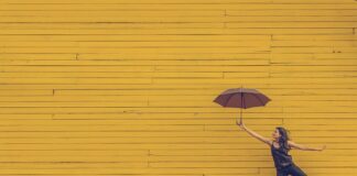 Czy obcinać żółte liście skrzydłokwiatu?