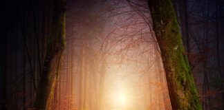 Jak stworzyć romantyczny nastrój?