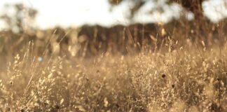 Ile kosztuje założenie filtrów do wody?