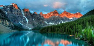 Jaki filtr usuwa kamień?