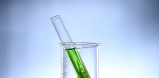 Co zrobić żeby nie było glonów w oczku wodnym?