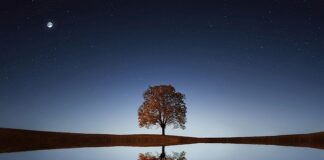 Co to są ciche fajerwerki?