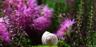 Czy sonda lambda ma wpływ na wypadanie zapłonu?