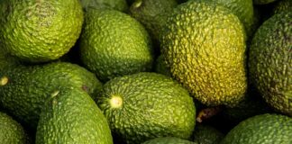 Czym się różni Coffe od americano?