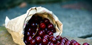 Jak zbierać rośliny do zielnika?