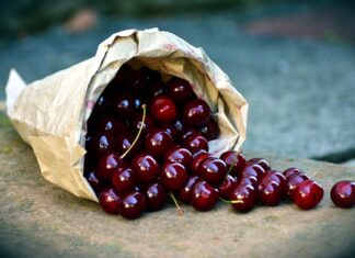 Jak zbierać rośliny do zielnika?