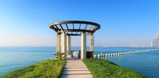 Co się stanie gdy zabraknie AdBlue?