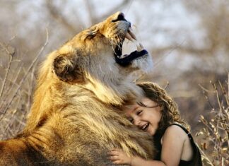 Co jest lepsze od Janosika?