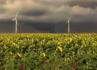 W jakiej kolejności zamontować filtry do wody?