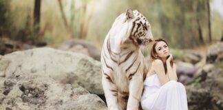 Jaka jest najbardziej niebezpieczną roślina?