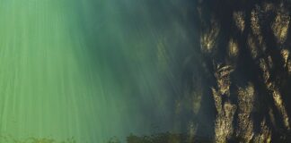 Jak sprawdzić poziom oleju w skrzyni automatycznej Opel Antara?