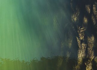 Jak sprawdzić poziom oleju w skrzyni automatycznej Opel Antara?