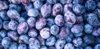 Jak podłączyć zasilanie anteny samochodowej?