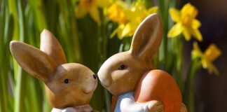 Jak zrobić Króliczka z jajka?