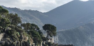 Ile kosztuje nowa gaśnica samochodowa?