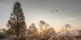 Kto się pierwszy podaje rękę właściciel domu czy gość?