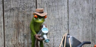 Ile wynosi abonament za radio w samochodzie 2023?