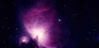 Od czego zacząć naukę malowania?