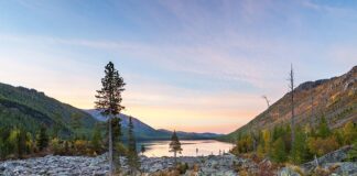 Jak usunąć szumy w radiu samochodowym?