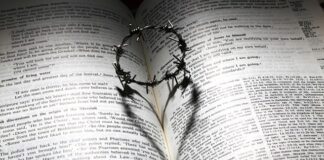 Czy AdBlue czyści DPF?