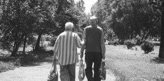 Czy długość anteny samochodowej ma znaczenie?