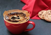 Jak zrobić dobry filtr do oczka wodnego?