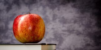 Gdzie w dowodzie rejestracyjnym jest klasa emisji spalin?