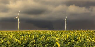 Jaka kolejność filtrów?