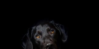 Czy hybryda na trasy ma sens?