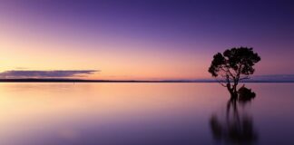 Czy wodę filtrowaną trzeba gotować?