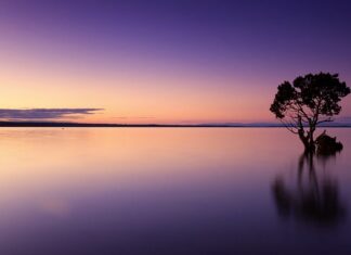 Czy wodę filtrowaną trzeba gotować?